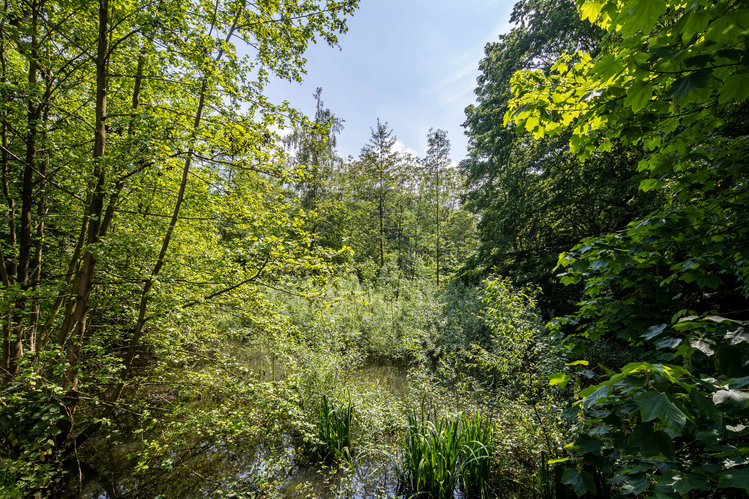 Seniorenzorg Philippus Neri parkvijver nabij Huize Den Dries en Parkbos in Sinaai