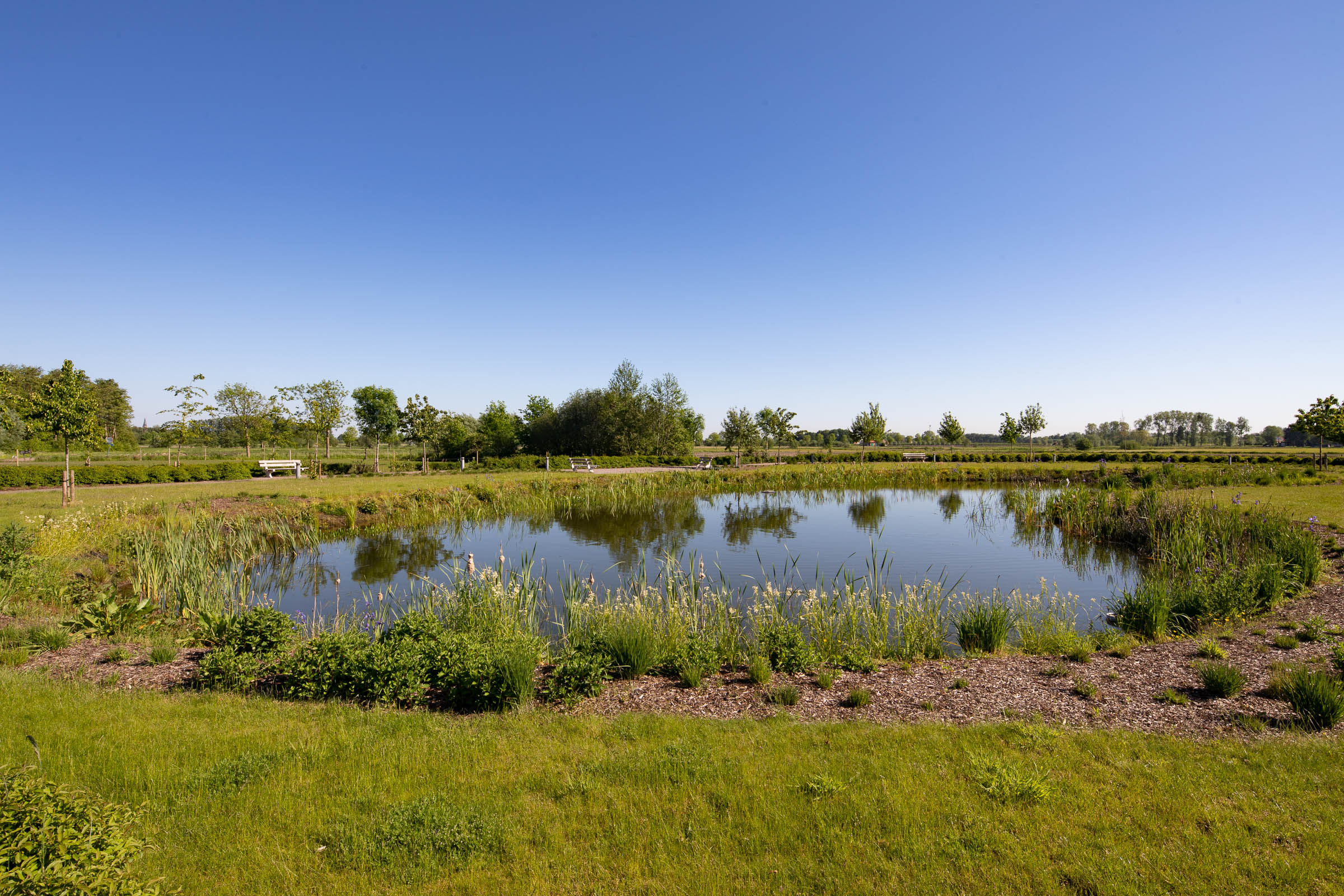 Seniorenzorg Philippus Neri woonzorgcentrum heeft een wadi in het omliggende natuurgebied