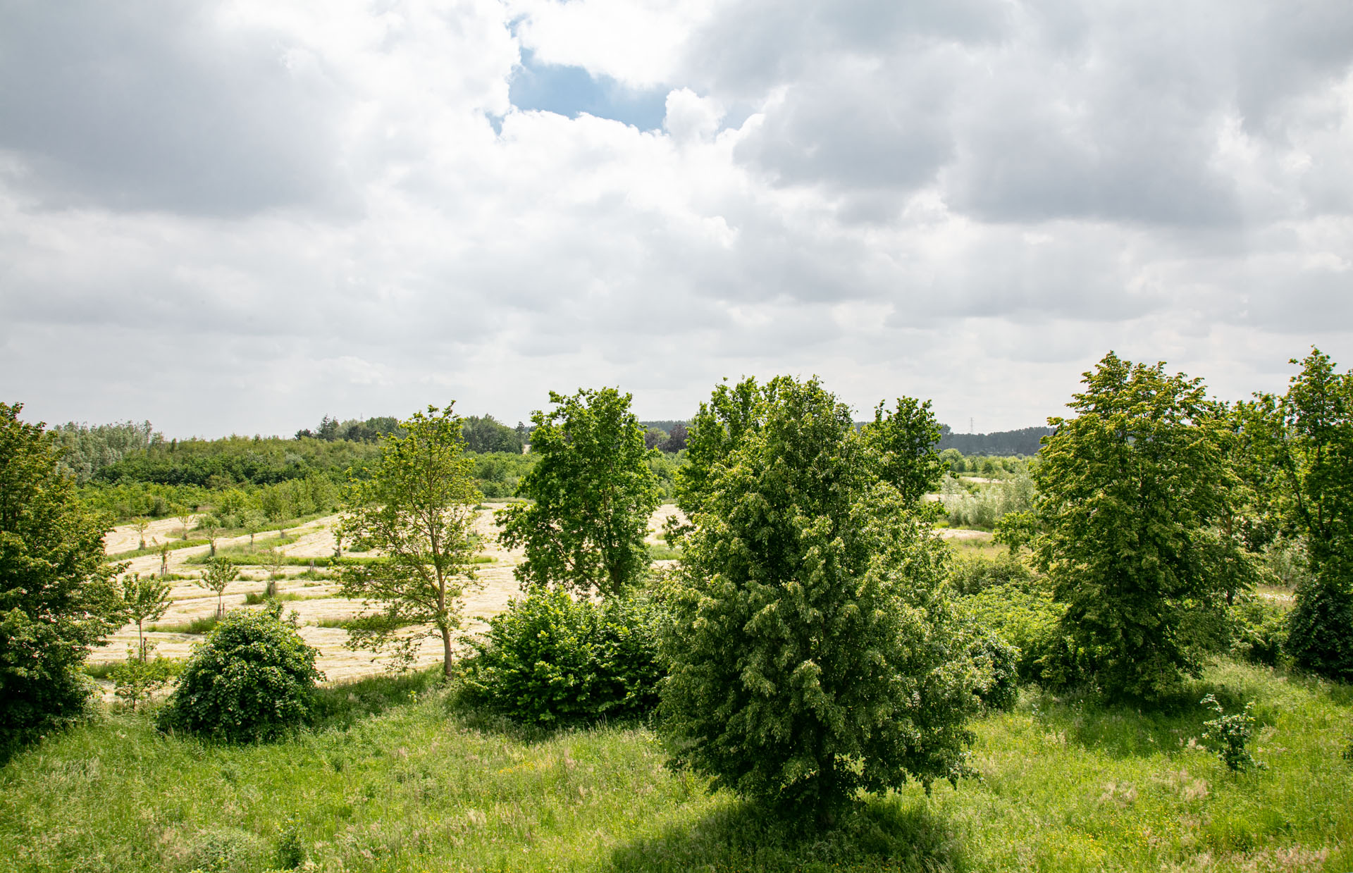 natuurgebied achter Bellefleur